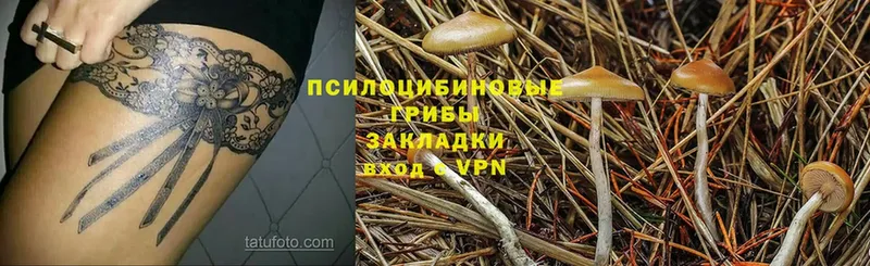 Псилоцибиновые грибы ЛСД  Серов 